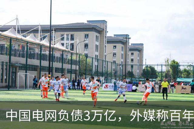 中国电网负债3万亿，外媒称百年难回本